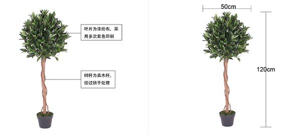 单杆月桂