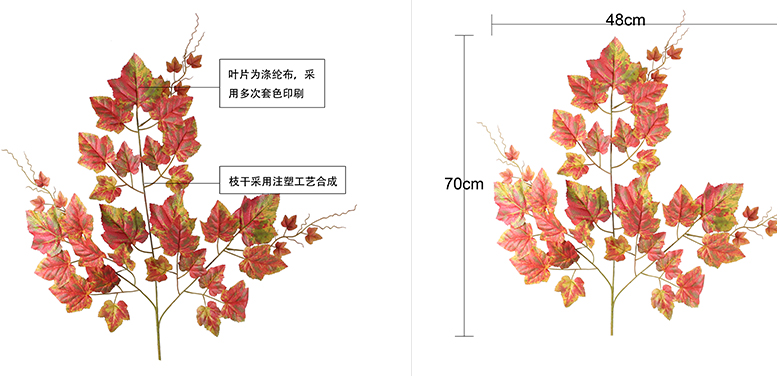 移印秋提子叶